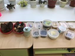 Уголок детского экспериментирования - коллекция разных семян, коллекция разных камешков, коллекция шишек, ёмкость с водой, ёмкость с песком и др.