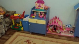 �����������