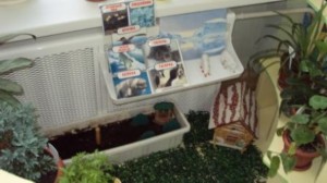 �����������